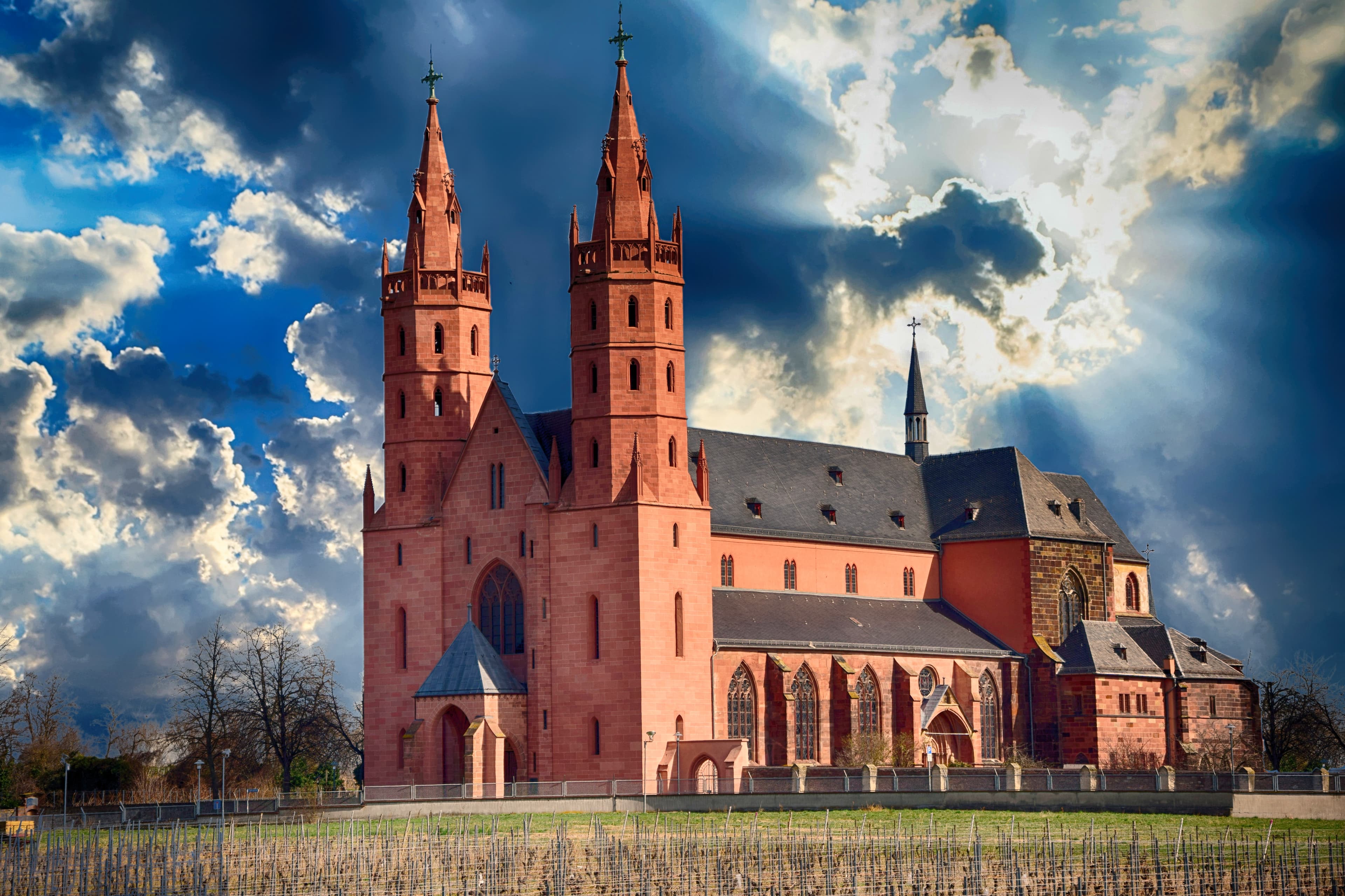 Liebfrauenkirche in Worms hinter den Reben des Liebfrauenstifts